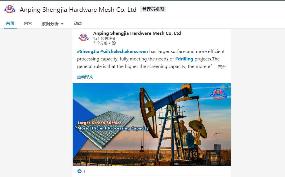 LinkedIn-盛佳-资讯