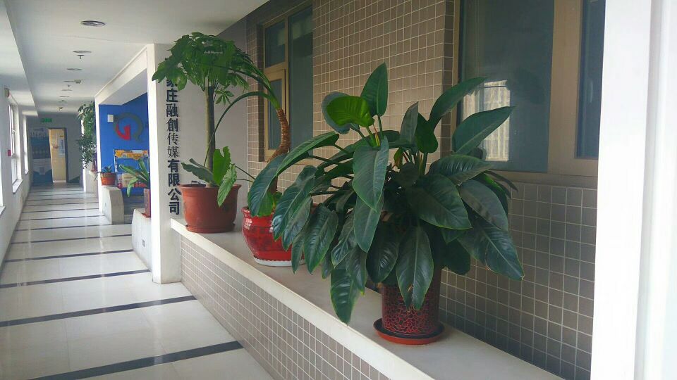 融创传媒运营培训